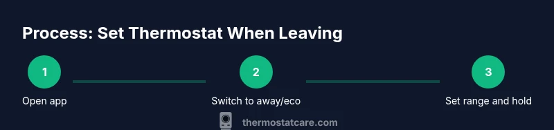 Visual guide to leaving the house: steps from app to away mode and hold