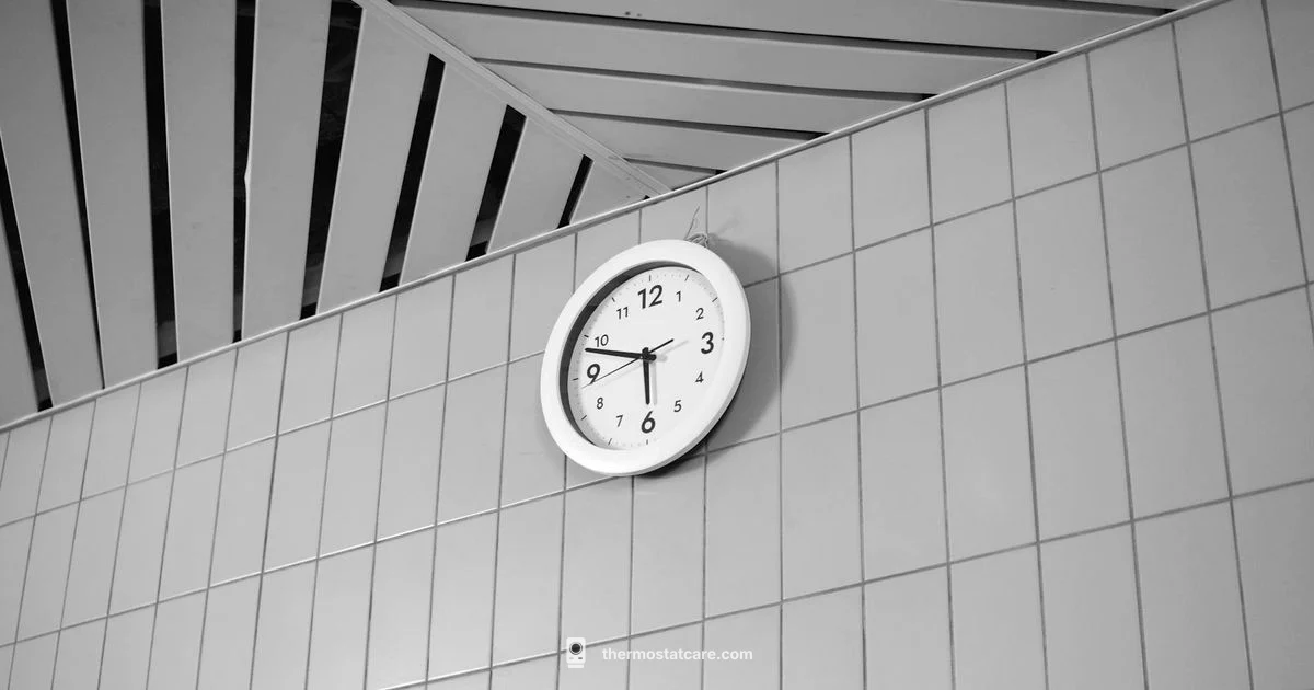 Nest Second Gen Guide - Thermostat Care