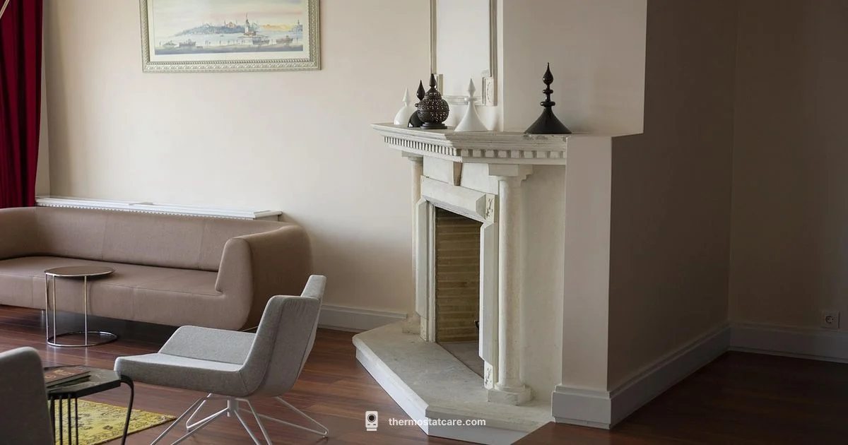 Micro Air Thermostat Guide - Thermostat Care