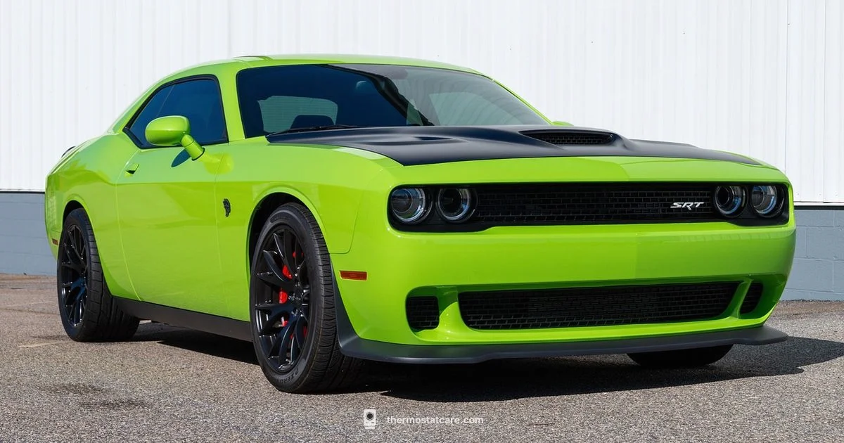 Challenger Thermostat Replacement - Thermostat Care